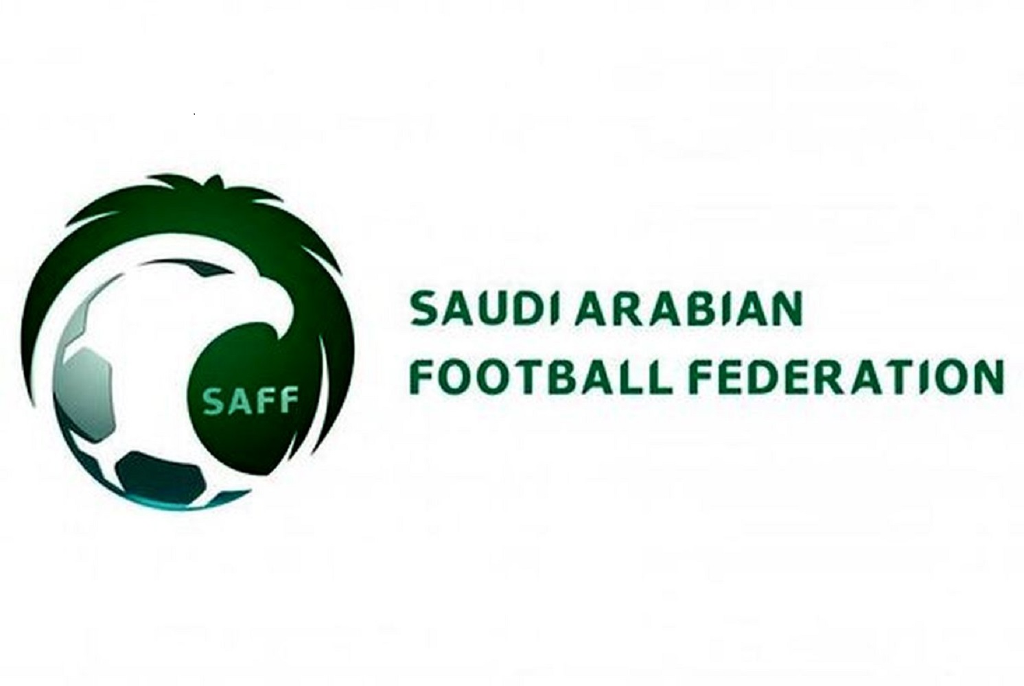 عربستان با پنج بازی دوستانه دیگر در جام جهانی