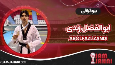بیوگرافی ابوالفضل زندی