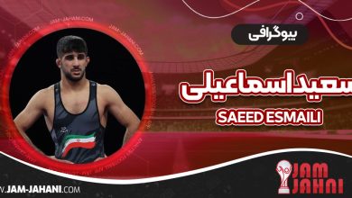 بیوگرافی سعید اسماعیلی