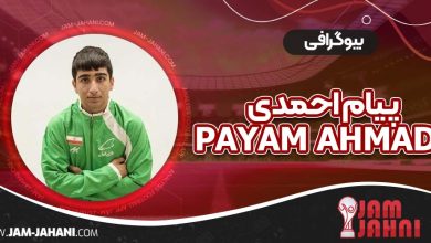 بیوگرافی پیام احمدی
