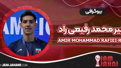 بیوگرافی امیر محمد رفیعی راد