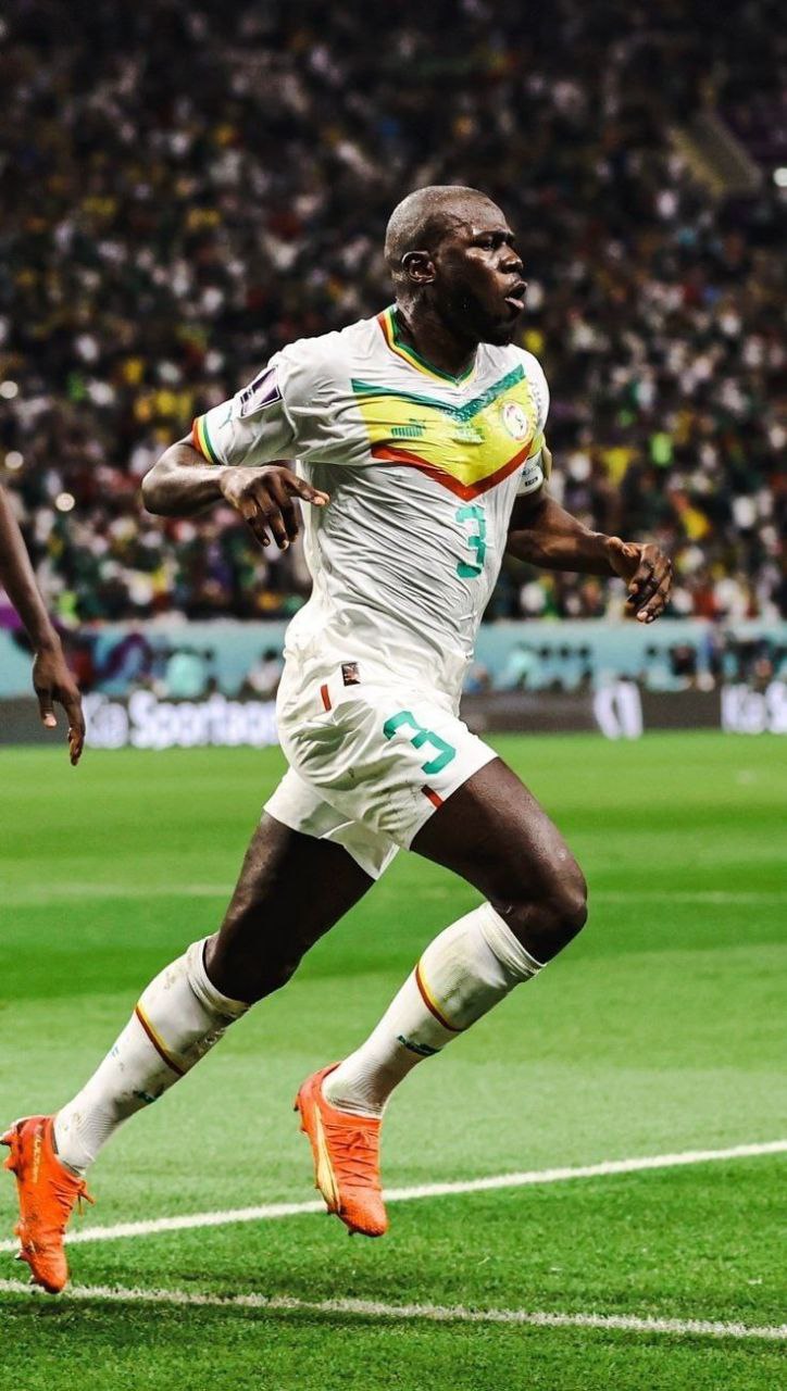 ترکیب احتمالی تیم ملی سنگال در جام جهانی فوتبال ترکیب احتمالی تیم ملی سنگال در جام جهانی فوتبال