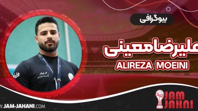 بیوگرافی علیرضا معینی – Alireza Moeini