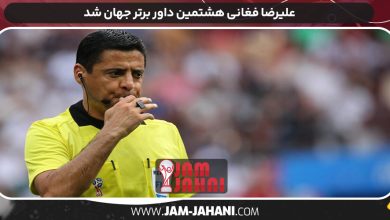 علیرضا فغانی هشتمین داور برتر جهان شد